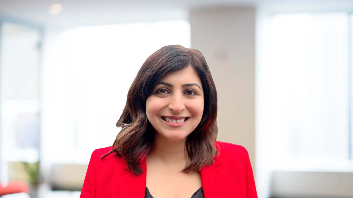 Headshot of Dheera Anand