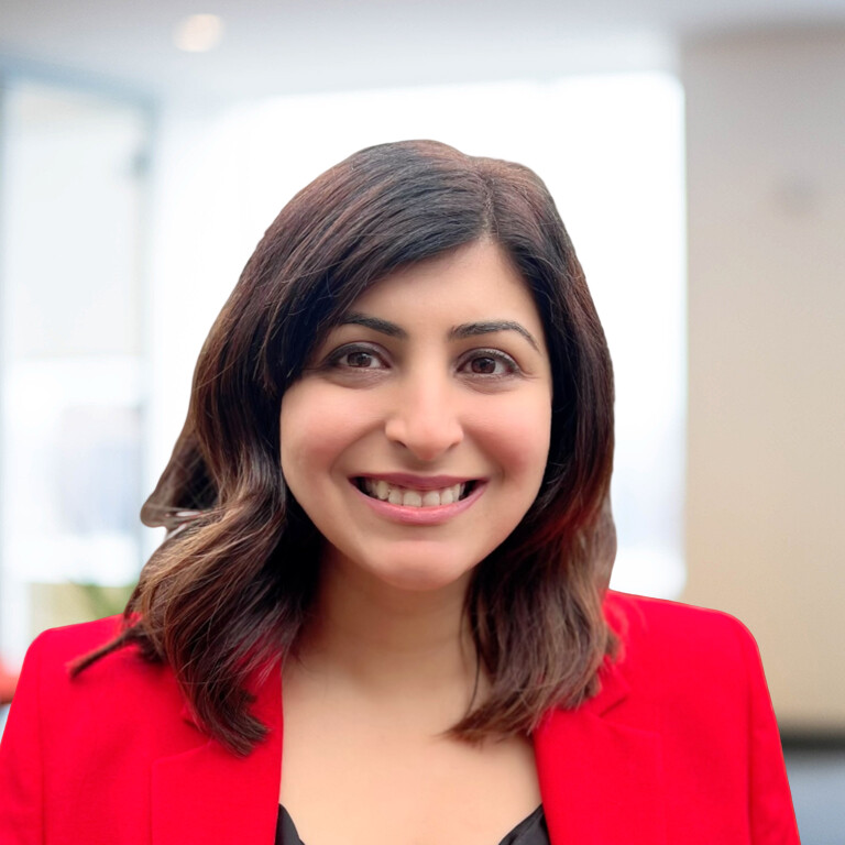 Headshot of Dheera Anand