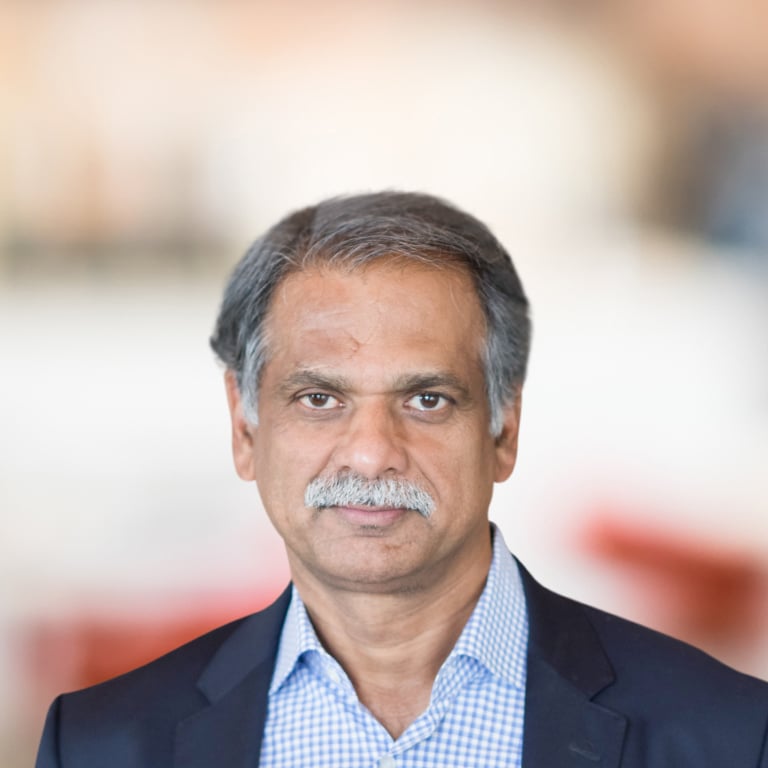 Headshot of Vijay Vishwanath