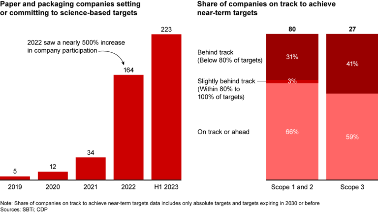 Putting Sustainability to Work in Paper and Packaging | Bain & Company