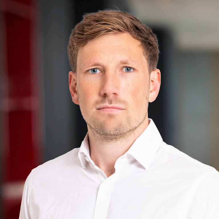 Headshot of Martin Torsvik