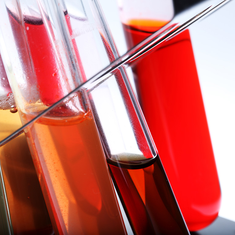 Photo of glass test tubes in a metal rack, each filled with a different colored liquid, from pale green to bright red.