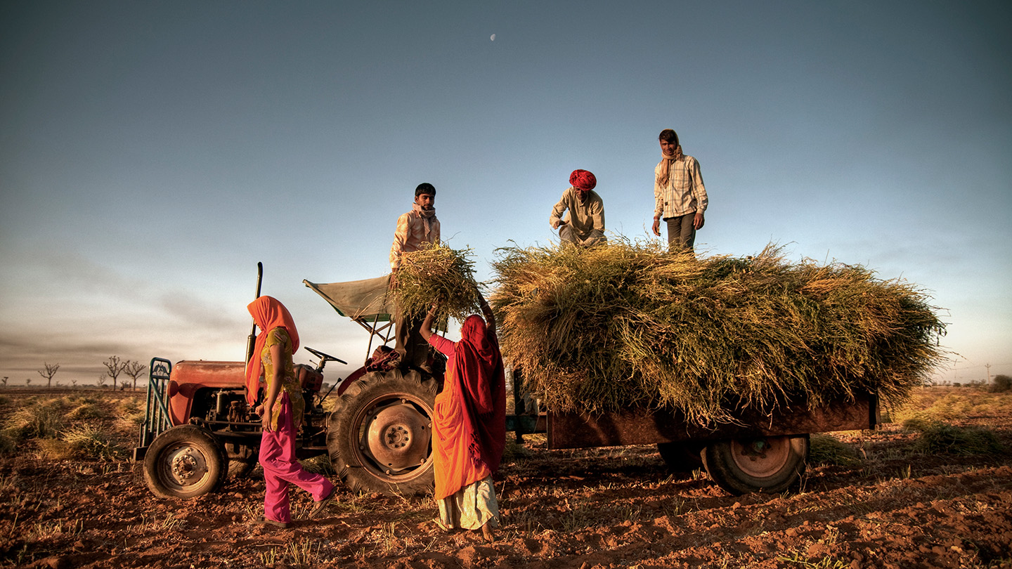Innovation in India's Rural Economy | Bain & Company