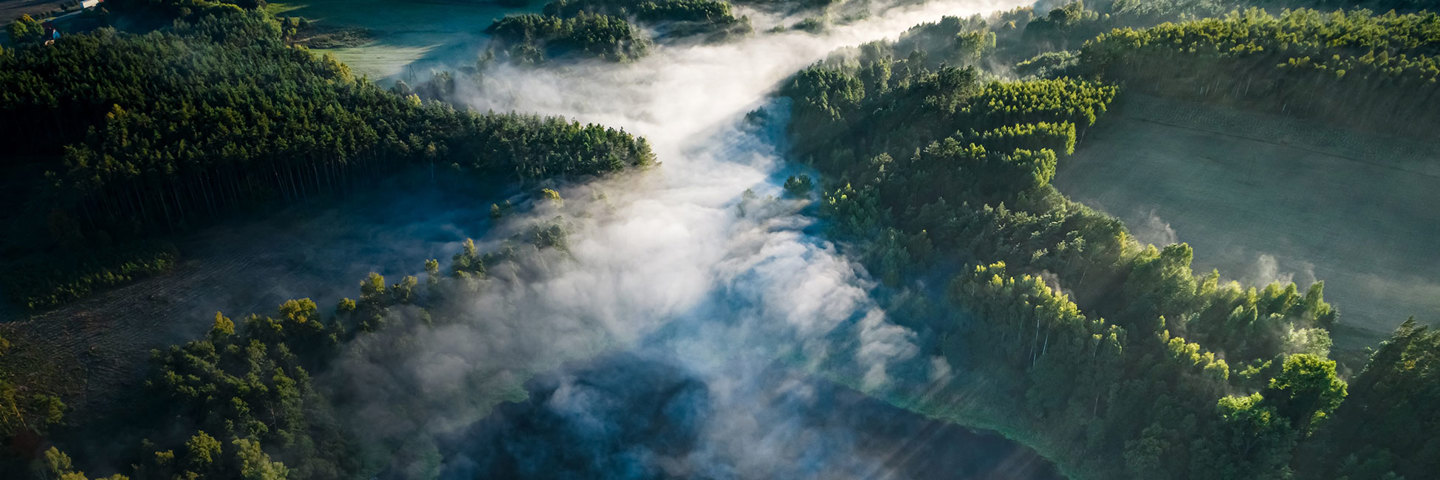 Climate Change & Decarbonization Consulting | Bain & Company