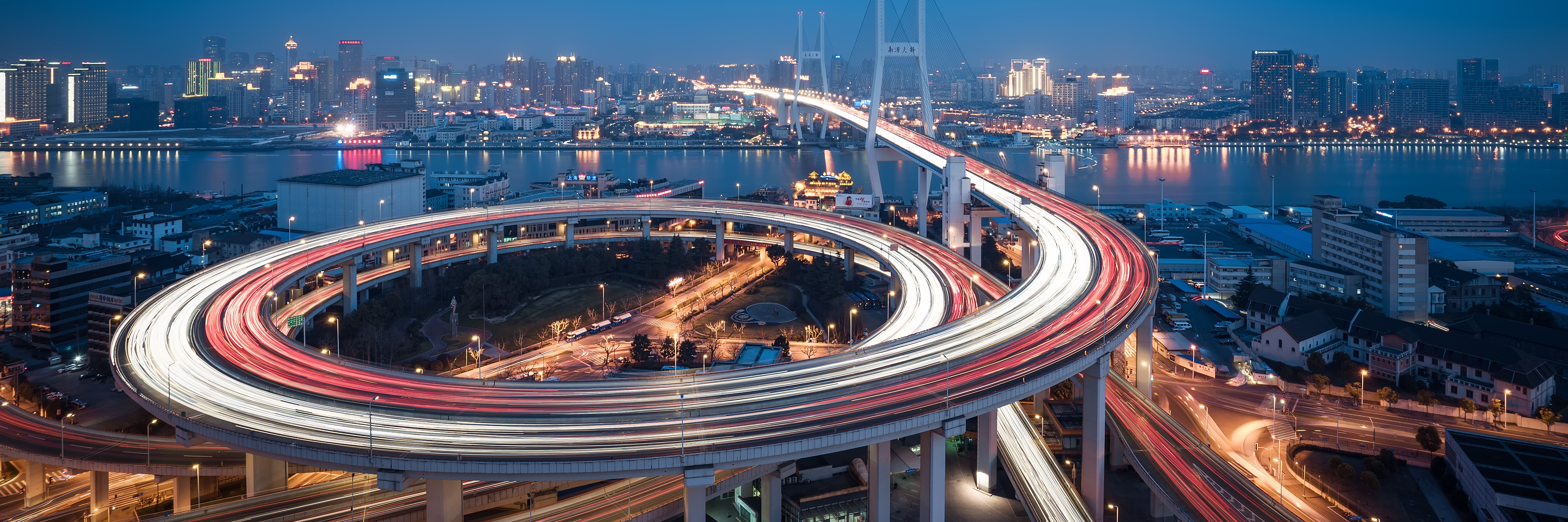 Vector Digital Delivery